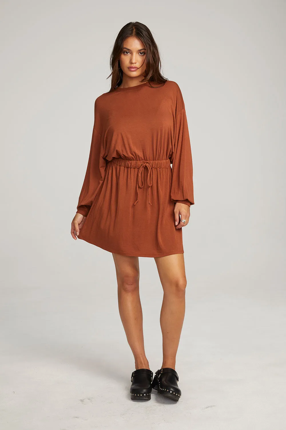 Saddle Whiskey Mini Dress sold by Chaser product image thumbnail 5