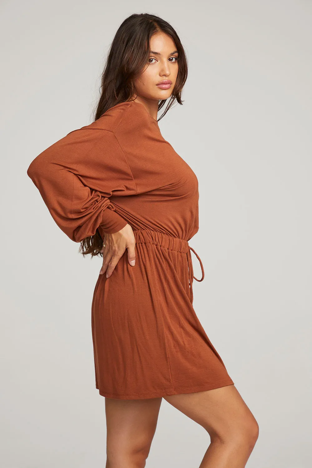 Saddle Whiskey Mini Dress sold by Chaser product image thumbnail 2