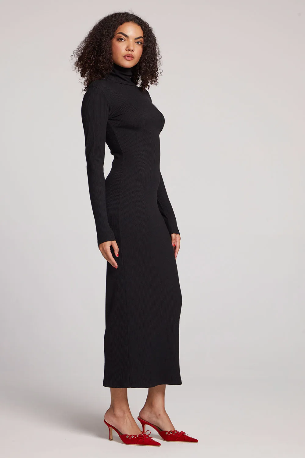 Marilyn Lixorice Maxi Dress sold by Chaser product image thumbnail 2