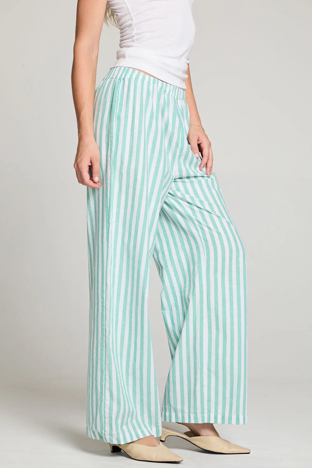 Leeee Aloe Stripe Trousers sold by Chaser product image thumbnail 3