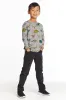 Dinosaurs Boys Long Sleeve sold by Chaser