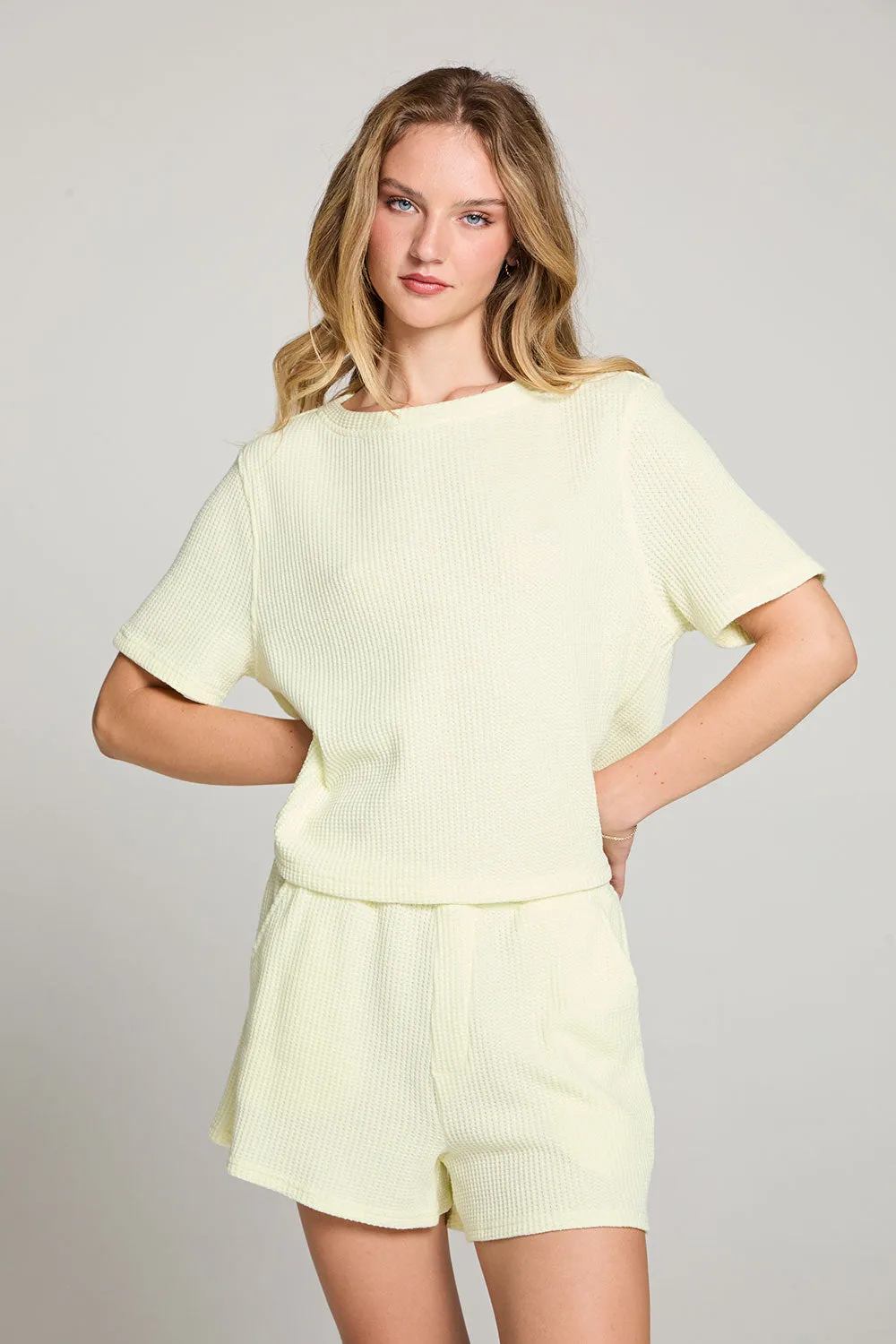 Rover Limon Yellow Tee sold by Chaser product image thumbnail 4