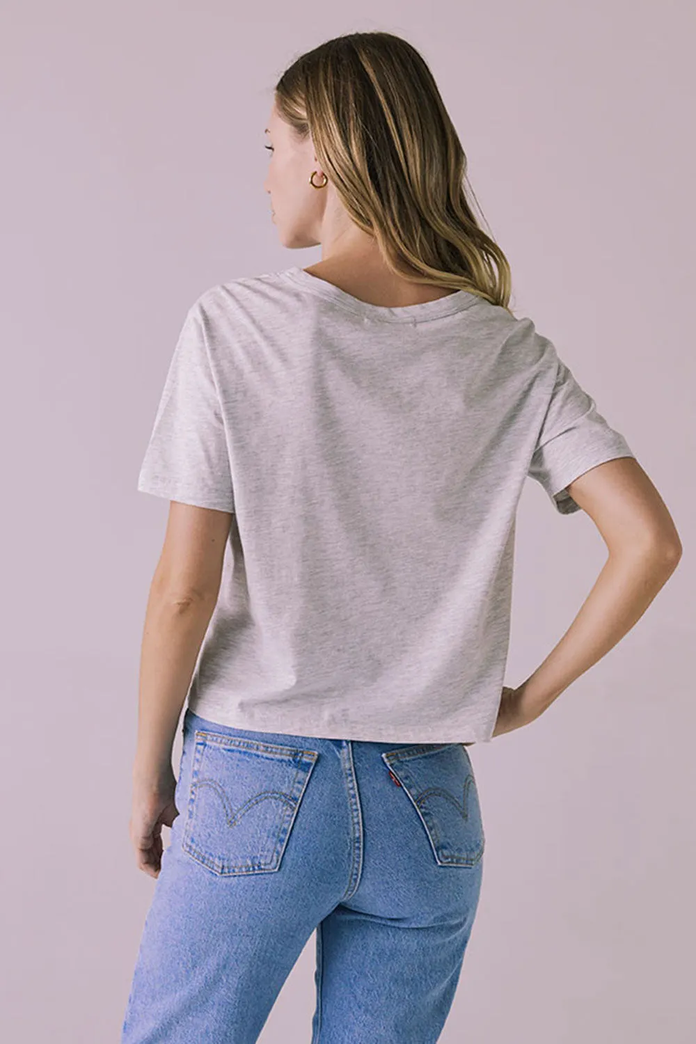 Jameson Light Heather Grey Tee sold by Chaser product image thumbnail 3