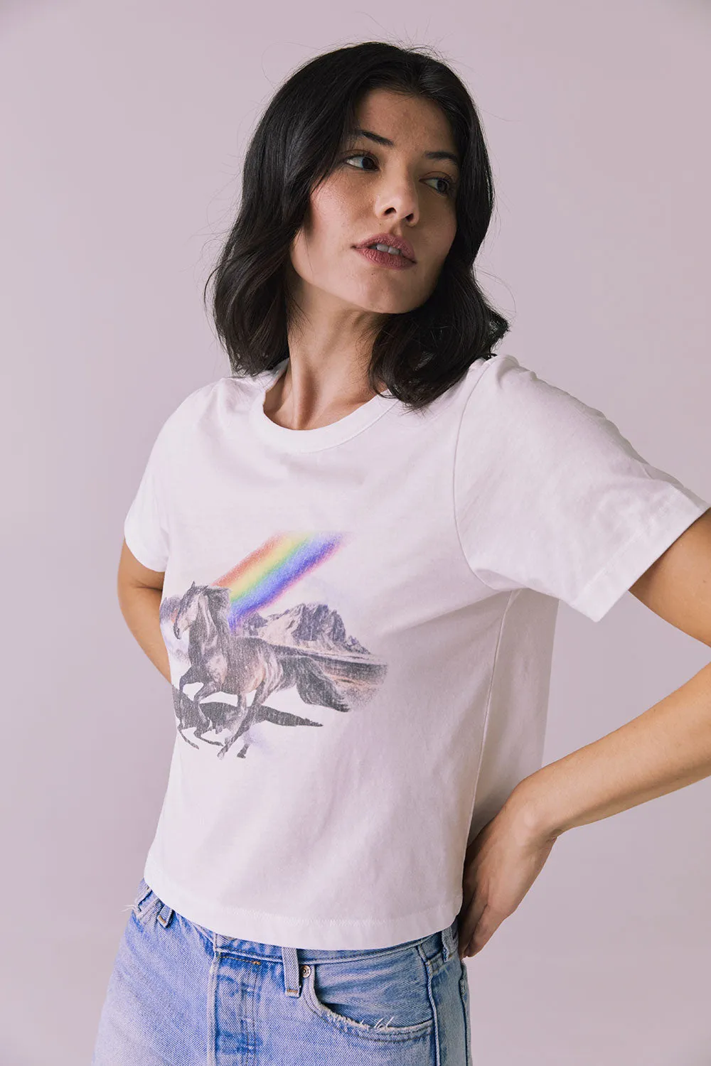 Stallion Embroidery Tee sold by Chaser product image thumbnail 2