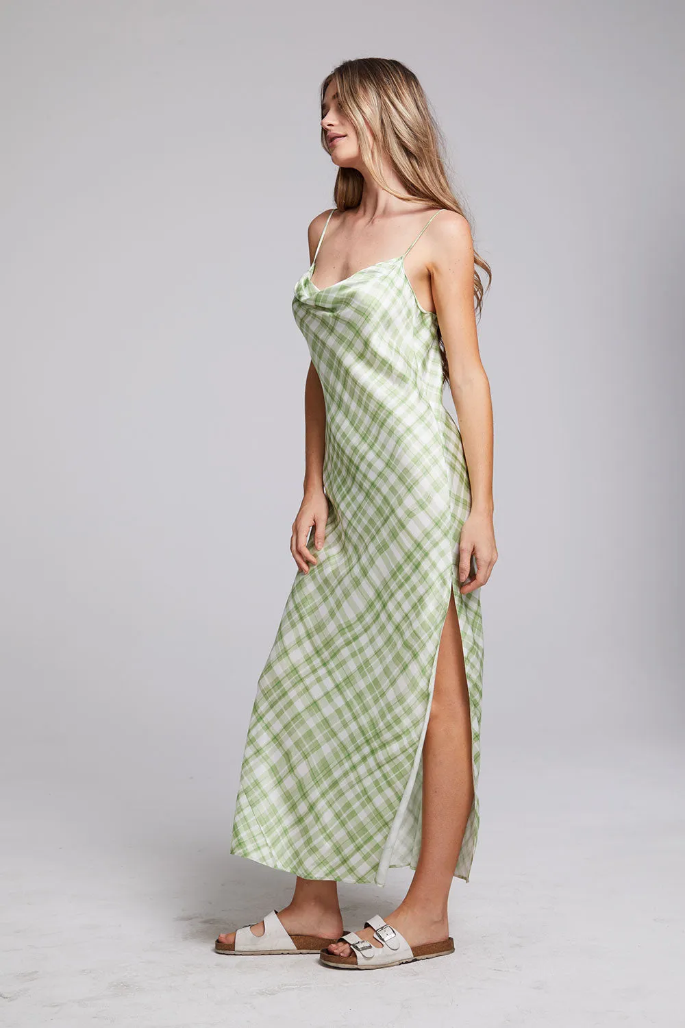 Quisisana Pistachio Maxi Dress sold by Chaser product image thumbnail 4