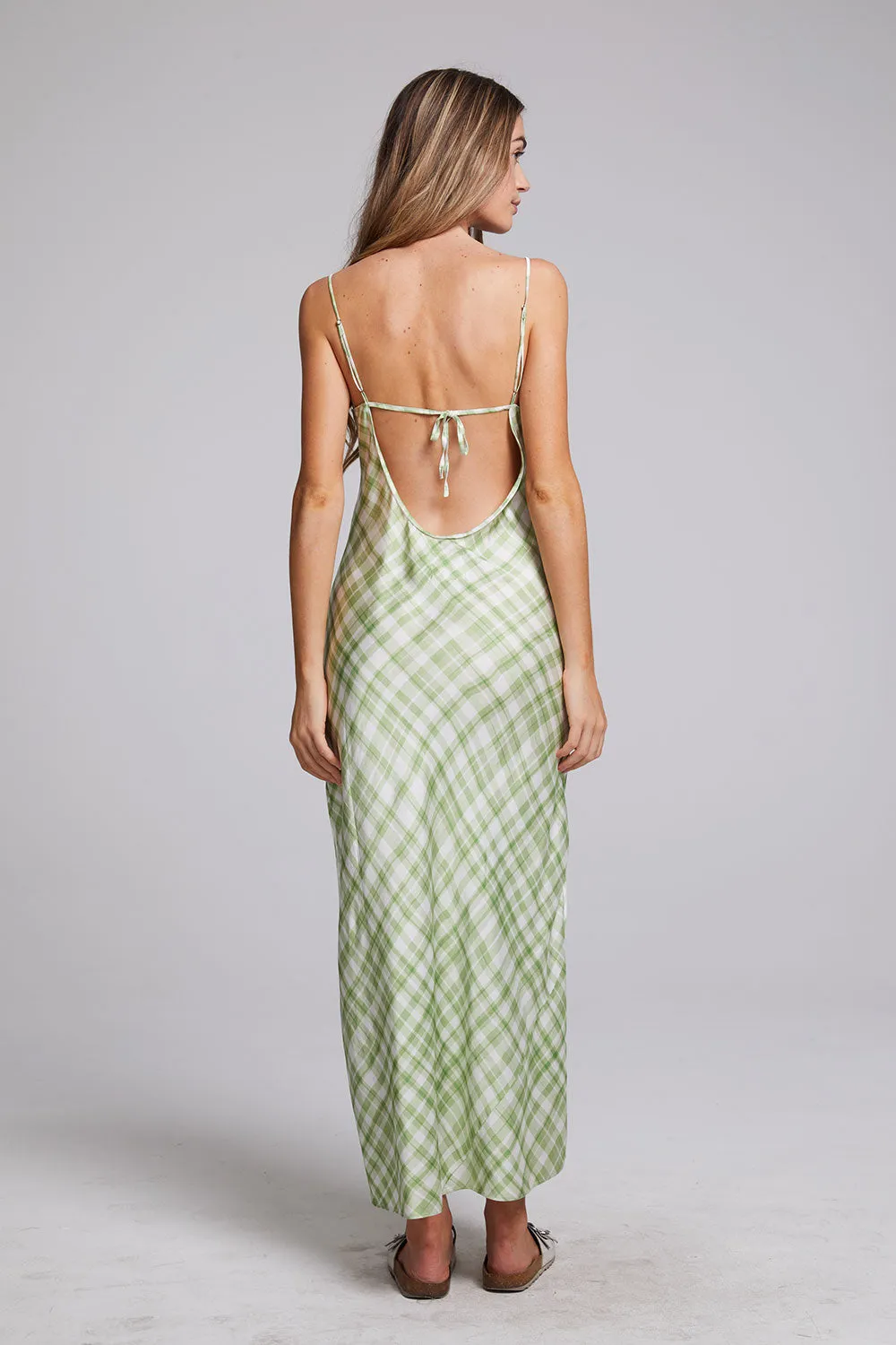 Quisisana Pistachio Maxi Dress sold by Chaser product image thumbnail 5