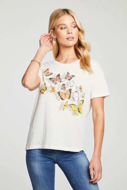 Butterflies sold by Chaser