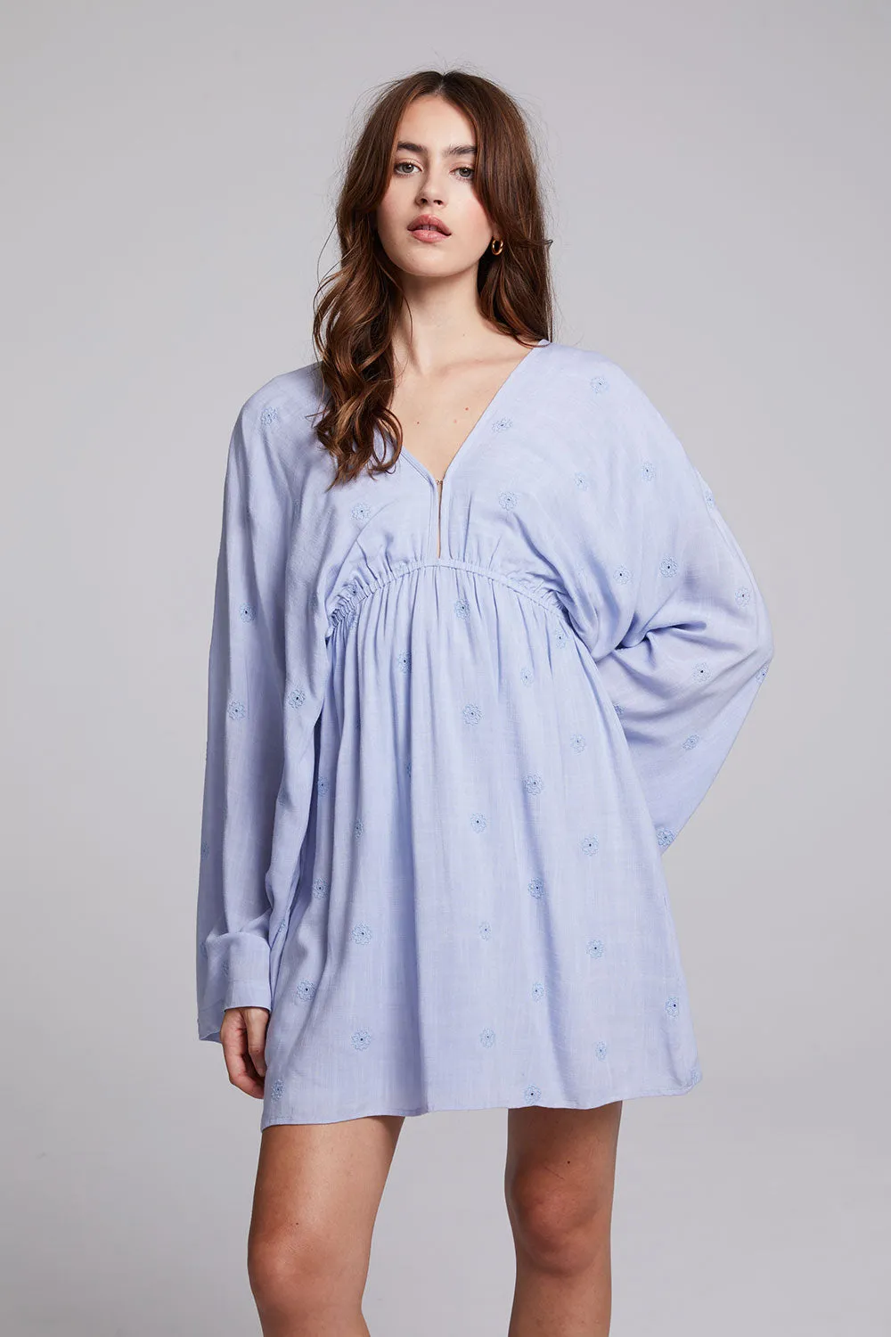 Waverly Faded Denim Blue Mini Dress sold by Chaser product image thumbnail 4