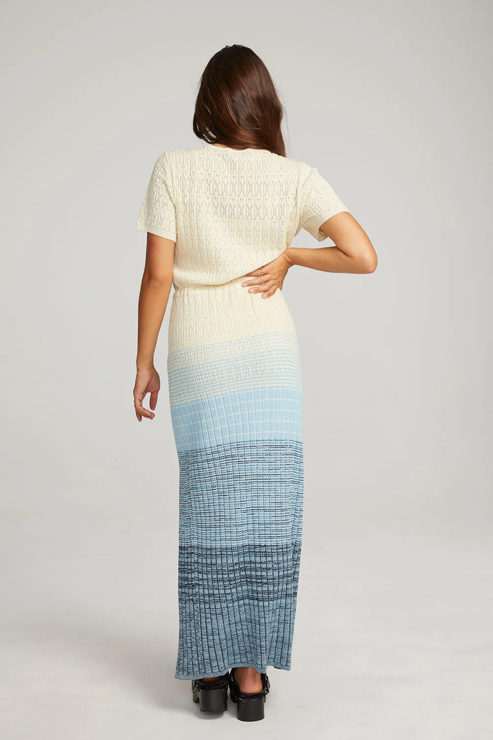 Durango Nightflower Maxi Dress sold by Chaser product image thumbnail 4