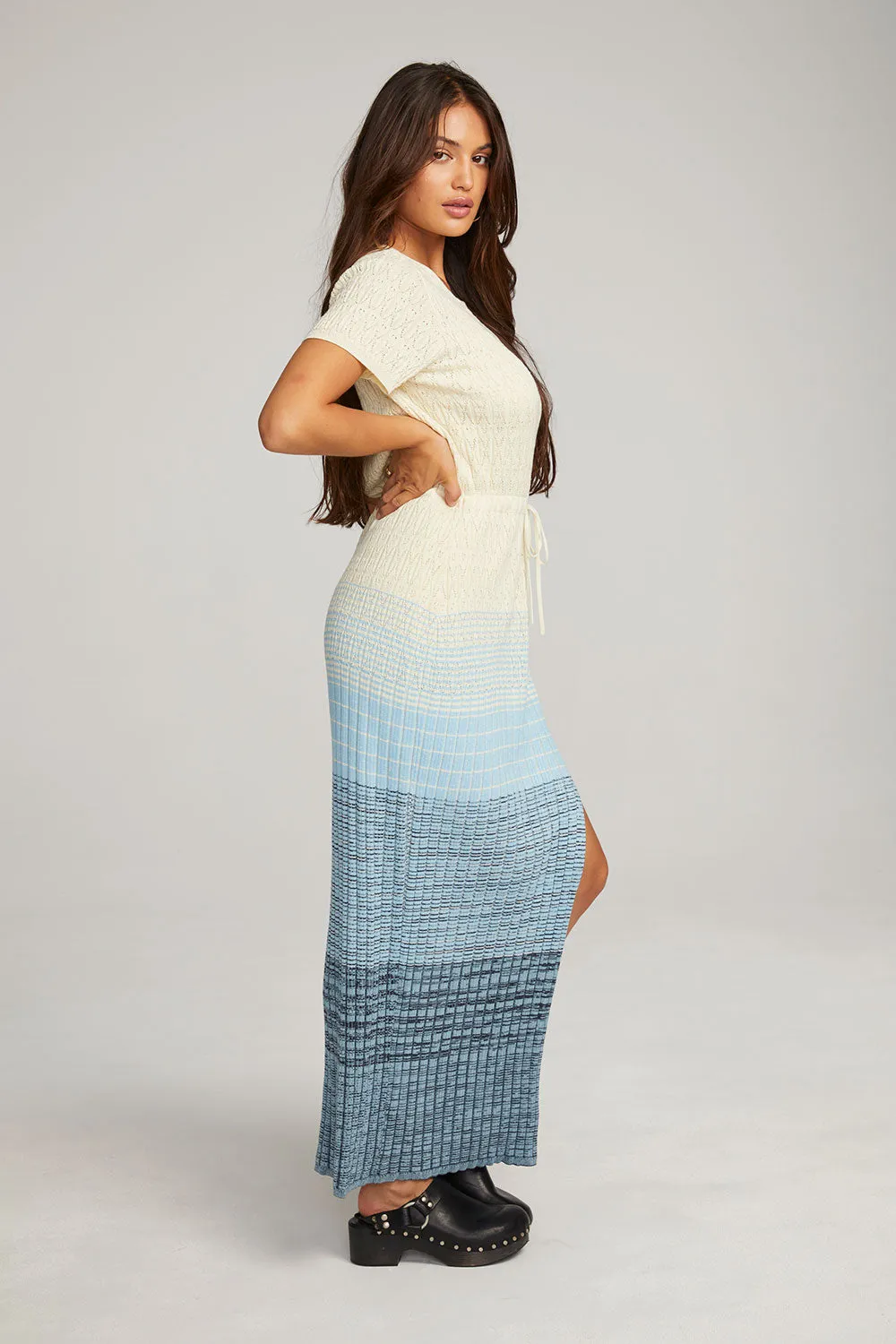 Durango Nightflower Maxi Dress sold by Chaser product image thumbnail 2