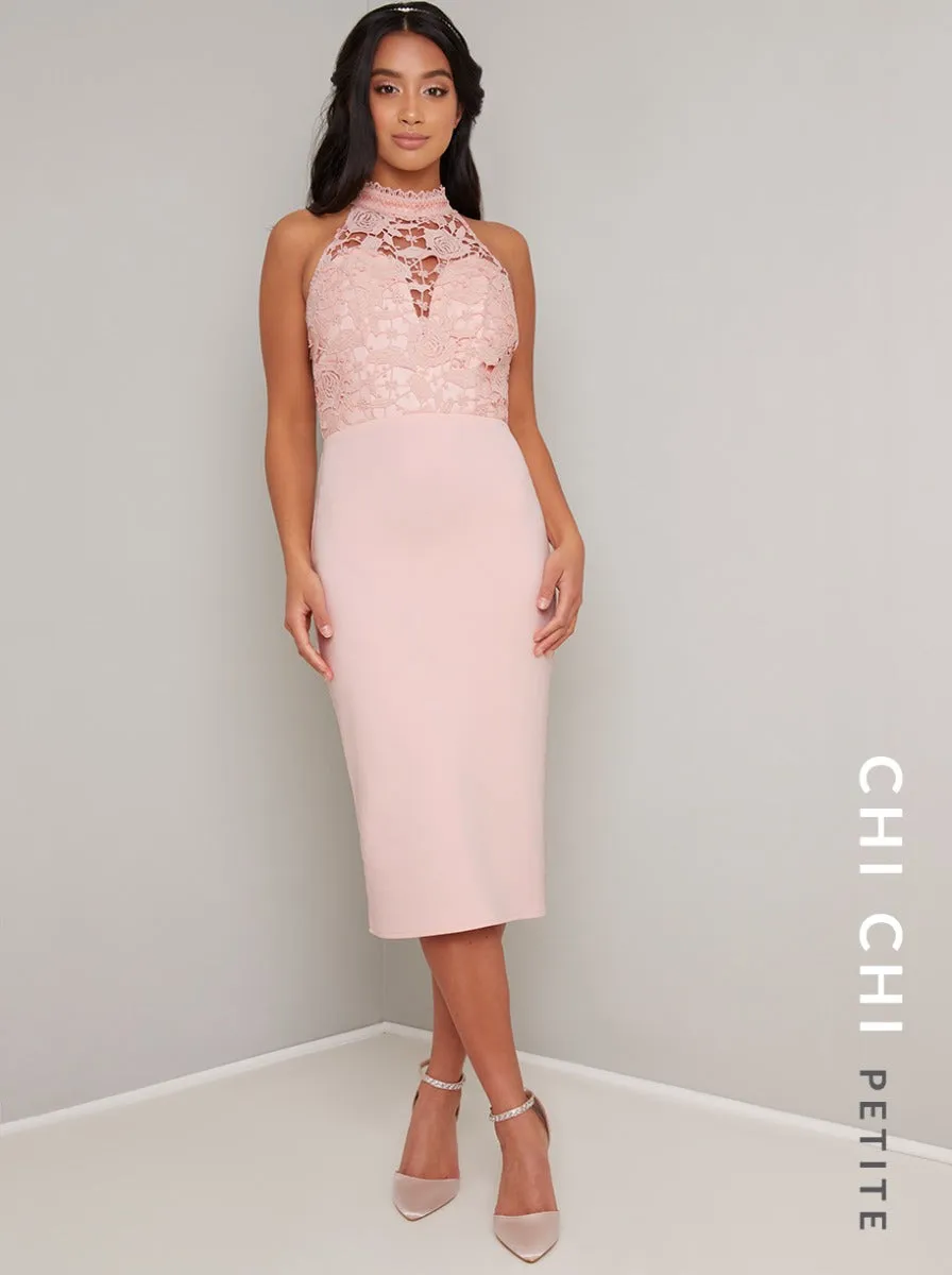 Petite Halterneck Lace Sheer Midi Dress in Pink sold by Chi Chi London