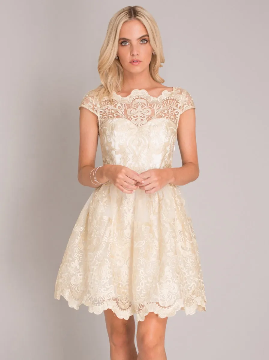 Chi Chi Petite Frances Dress sold by Chi Chi London product image thumbnail 2