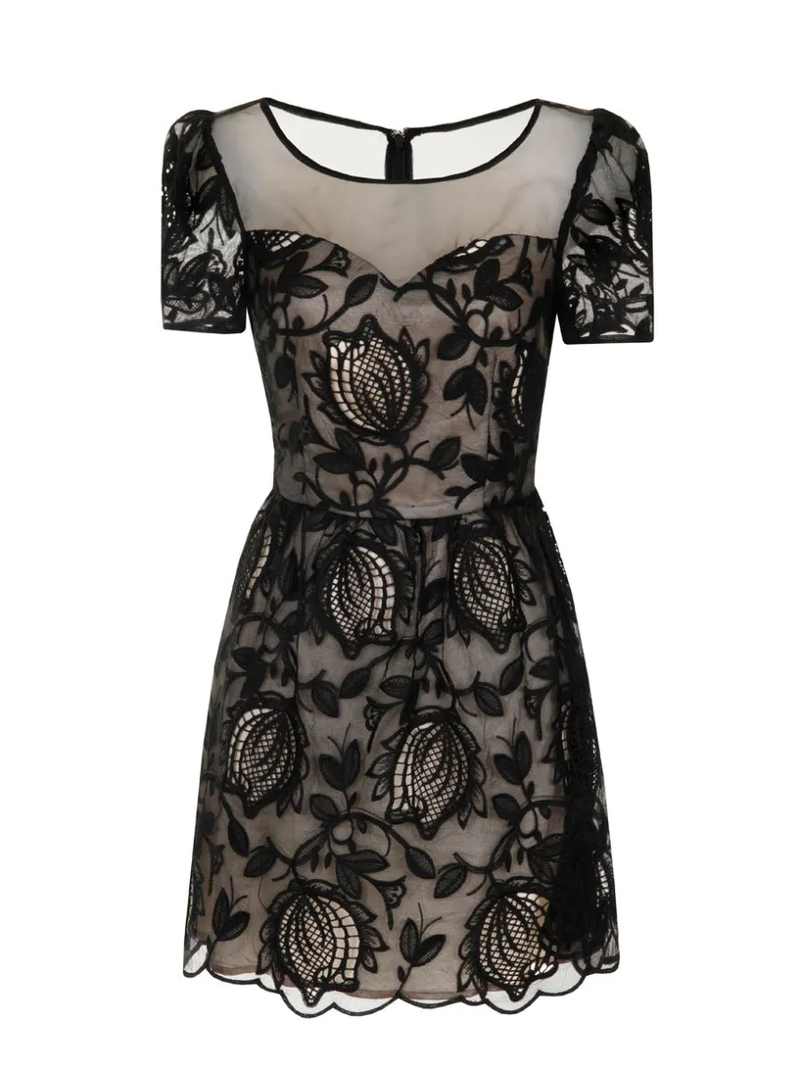 Chi Chi Beattrice Dress sold by Chi Chi London product image thumbnail 4