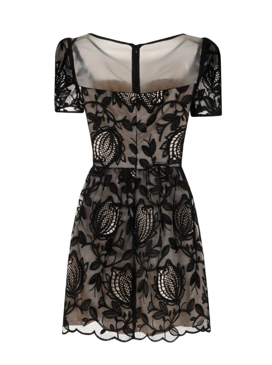 Chi Chi Beattrice Dress sold by Chi Chi London product image thumbnail 5