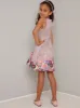 Girls Rose Print Skater Dress in Pink sold by Chi Chi London