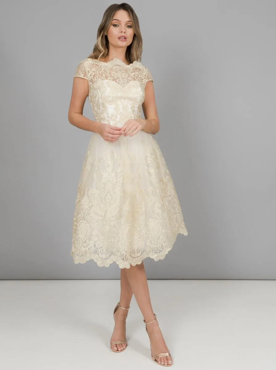 Chi Chi Frances Dress sold by Chi Chi London product image thumbnail 2