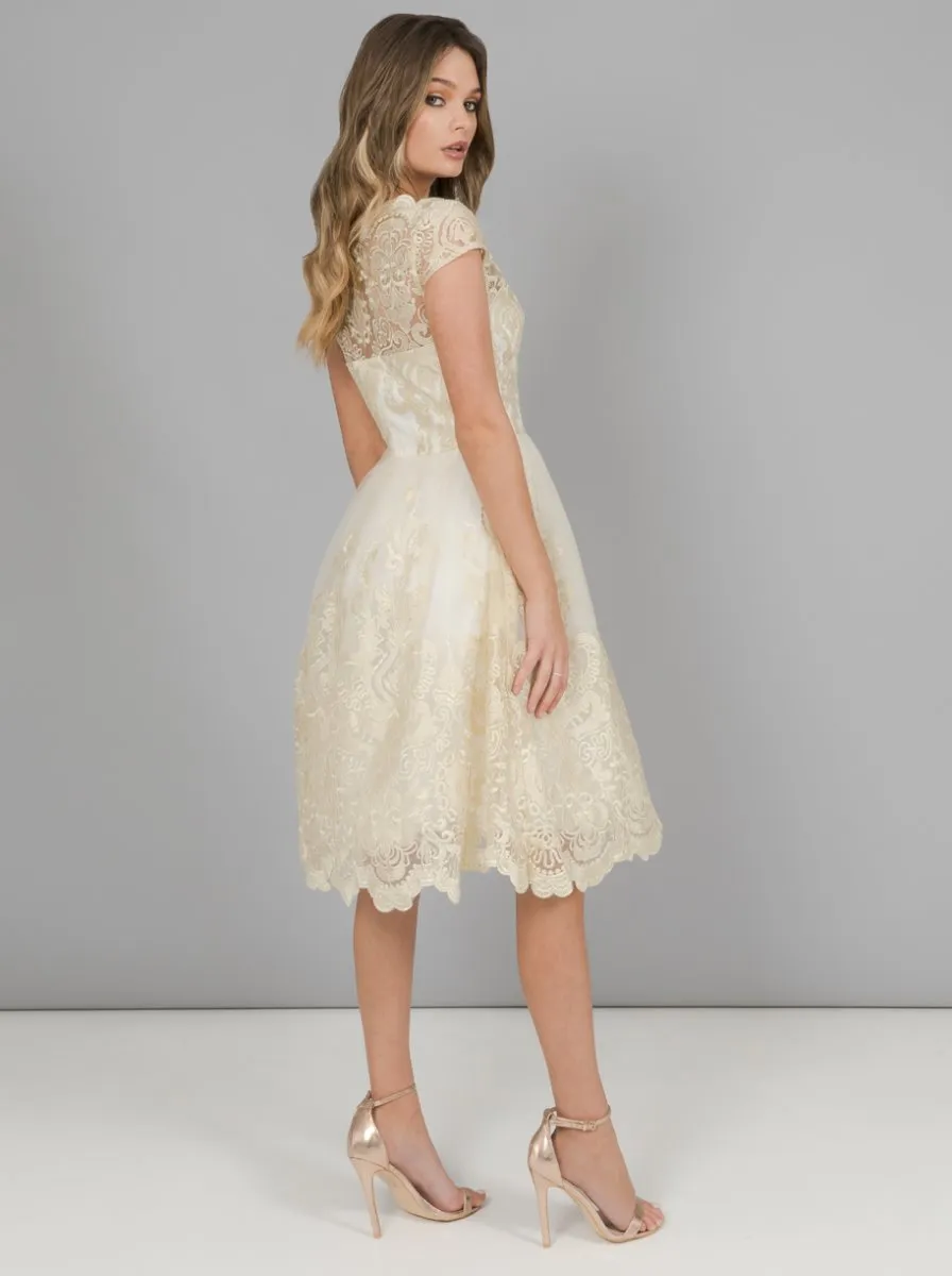 Chi Chi Frances Dress sold by Chi Chi London product image thumbnail 3