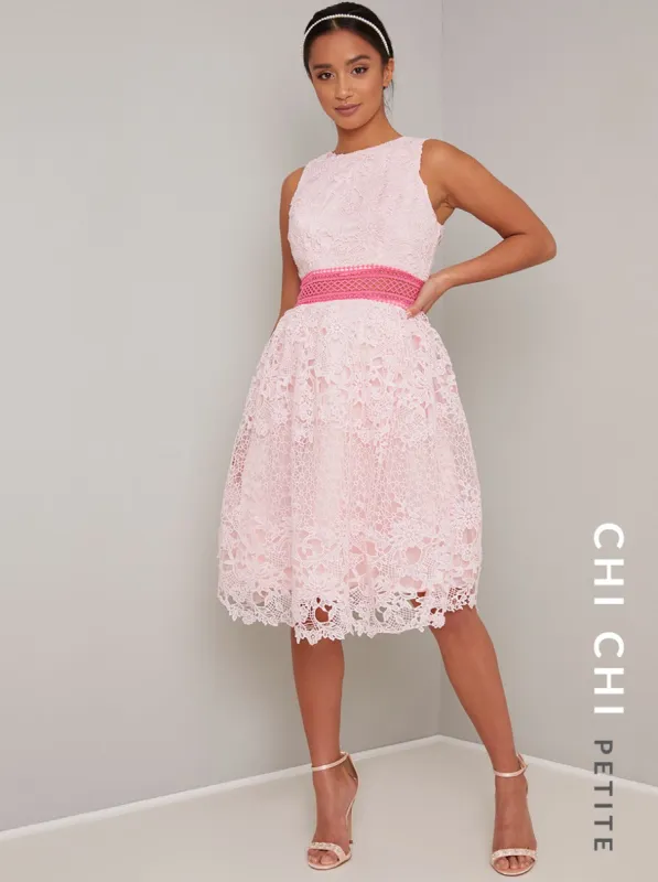Petite Lace Scalloped Midi Dress In Pink sold by Chi Chi London