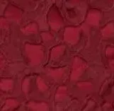 Bardot Premium Lace Bodycon Dress in Red sold by Chi Chi London product image thumbnail 5