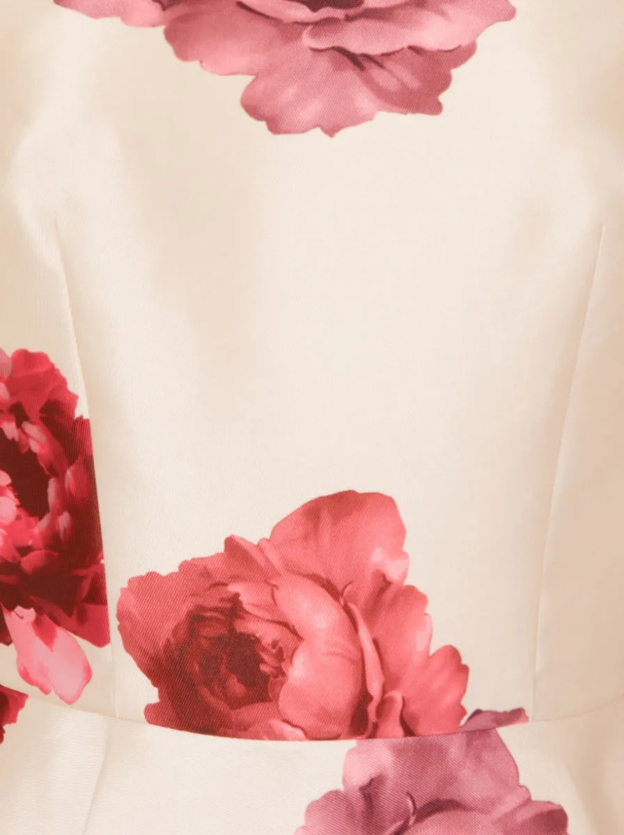 Cap Sleeved Dip Hem Midi Dress in Cream sold by Chi Chi London product image thumbnail 3