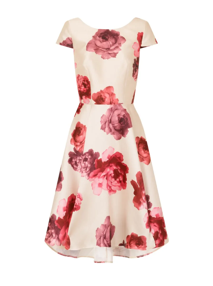 Cap Sleeved Dip Hem Midi Dress in Cream sold by Chi Chi London