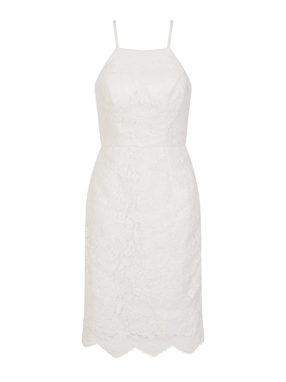 Premium Lace Bodycon Dress in White sold by Chi Chi London