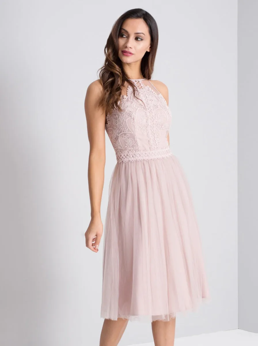 Premium Lace Bodice Midi Dress in Pink sold by Chi Chi London product image thumbnail 4