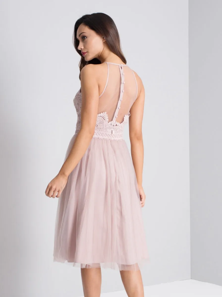 Premium Lace Bodice Midi Dress in Pink sold by Chi Chi London product image thumbnail 2