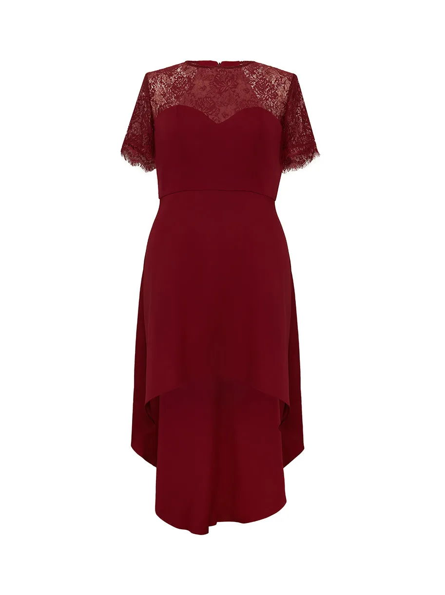 Plus Size Embroidered Bodice Dress in Burgundy sold by Chi Chi London