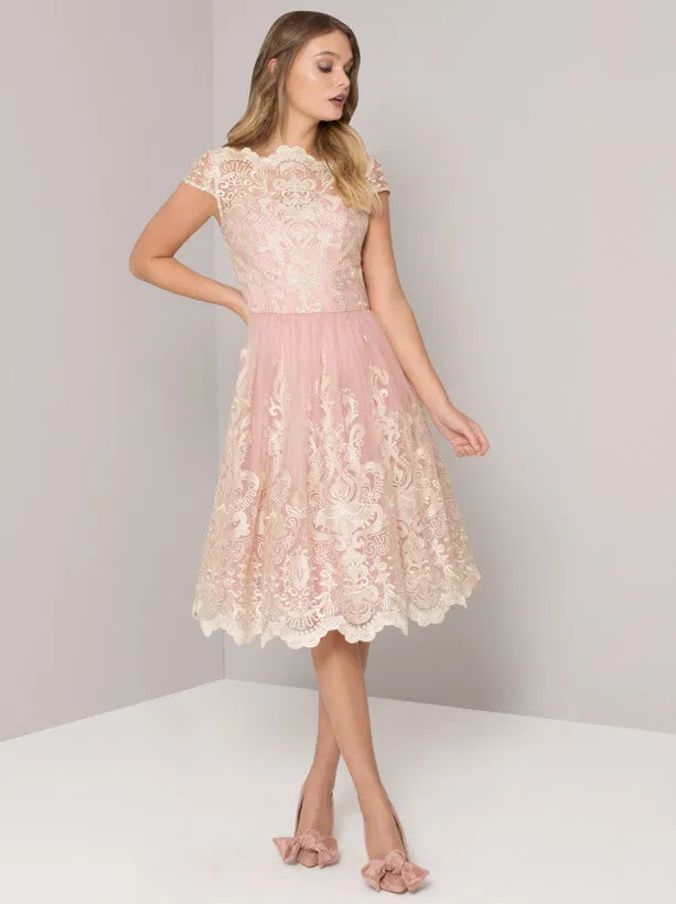 Baroque Style Embroidered Tea Dress in Vintage Rose sold by Chi Chi London product image thumbnail 3