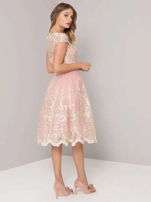 Baroque Style Embroidered Tea Dress in Vintage Rose sold by Chi Chi London product image thumbnail 2