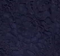 Bardot Premium Lace Bodycon Dress in Blue sold by Chi Chi London product image thumbnail 5