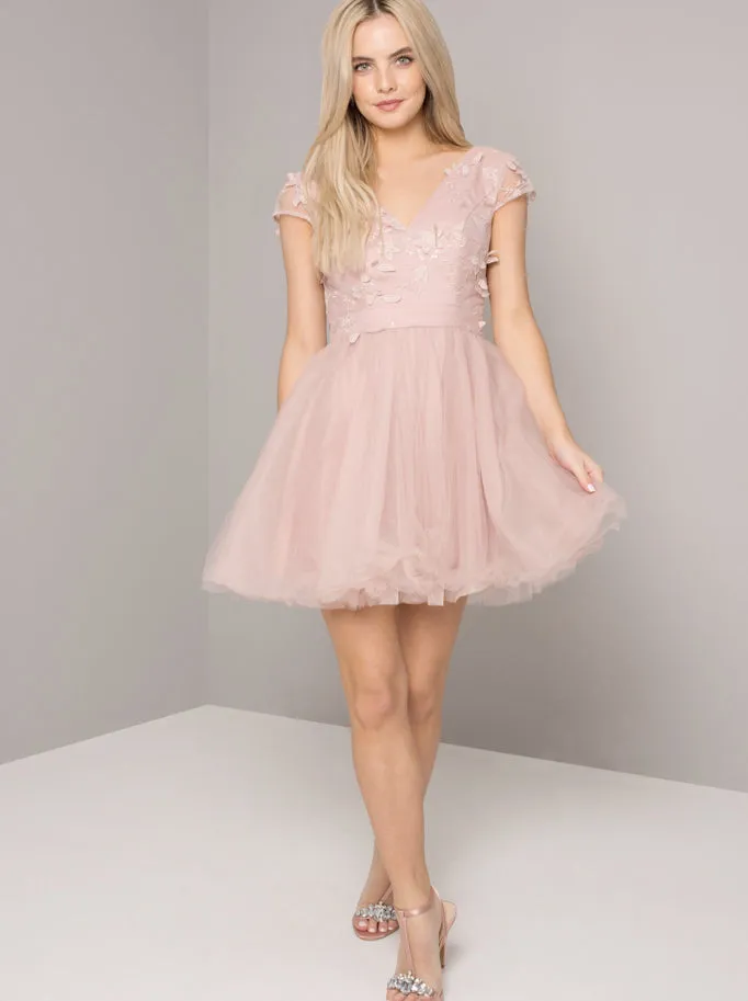 Chi Chi Petite Lucinda Dress sold by Chi Chi London product image thumbnail 4