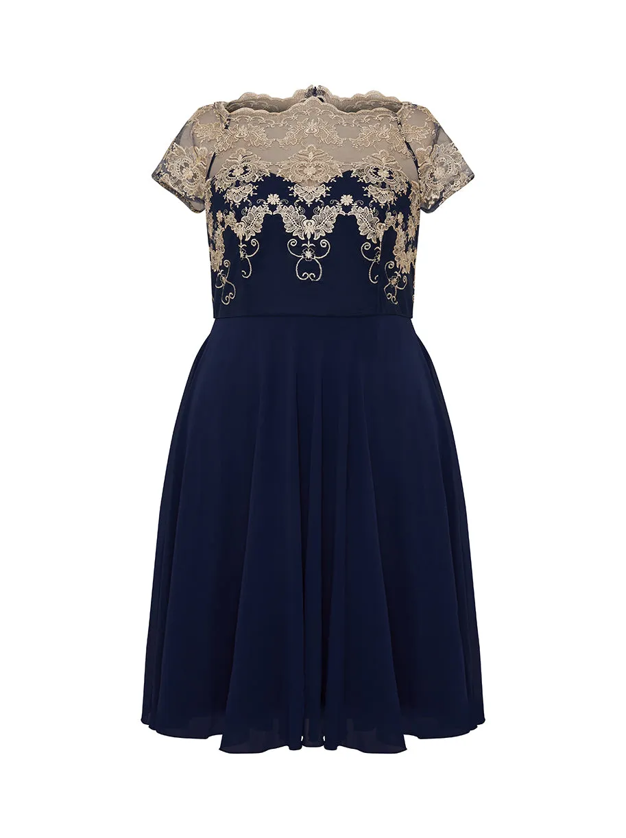 Plus Size Lace Bodice Skater Dress in Navy sold by Chi Chi London