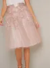Embroidered Midi Skirt with Fitted Waistband in Pink sold by Chi Chi London