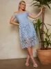 Bardot Lace Midi Crochet Dress in Blue sold by Chi Chi London