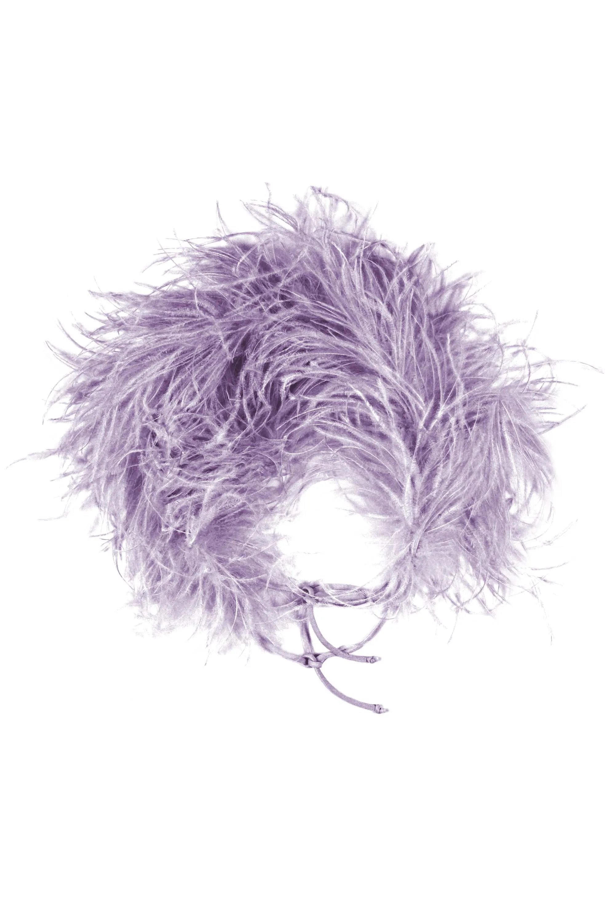 FEATHERS BOA sold by Chiara Boni product image thumbnail 2