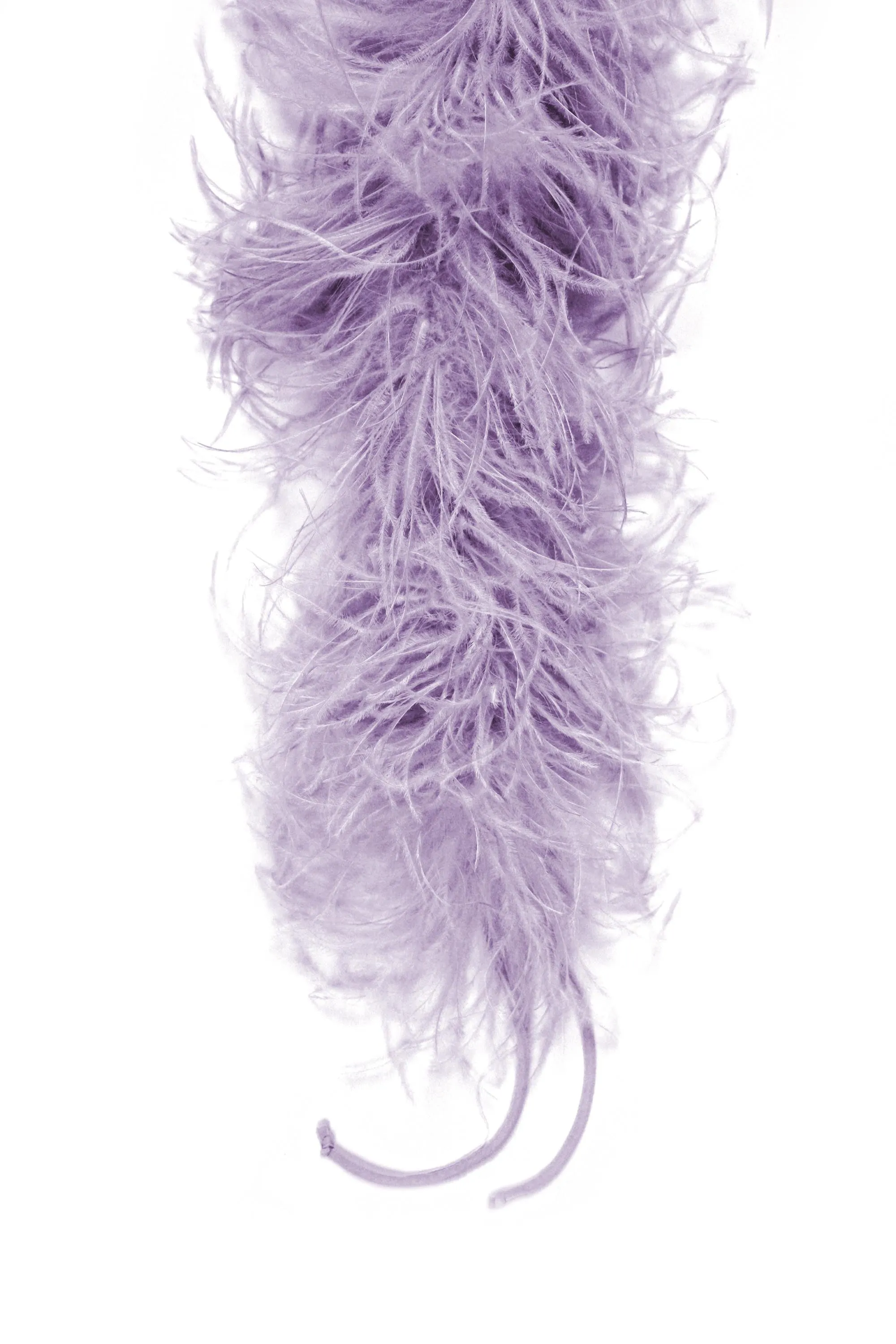 FEATHERS BOA sold by Chiara Boni product image thumbnail 4