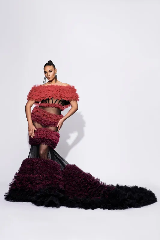 Ombré Tulle Gown made by Christian Siriano
