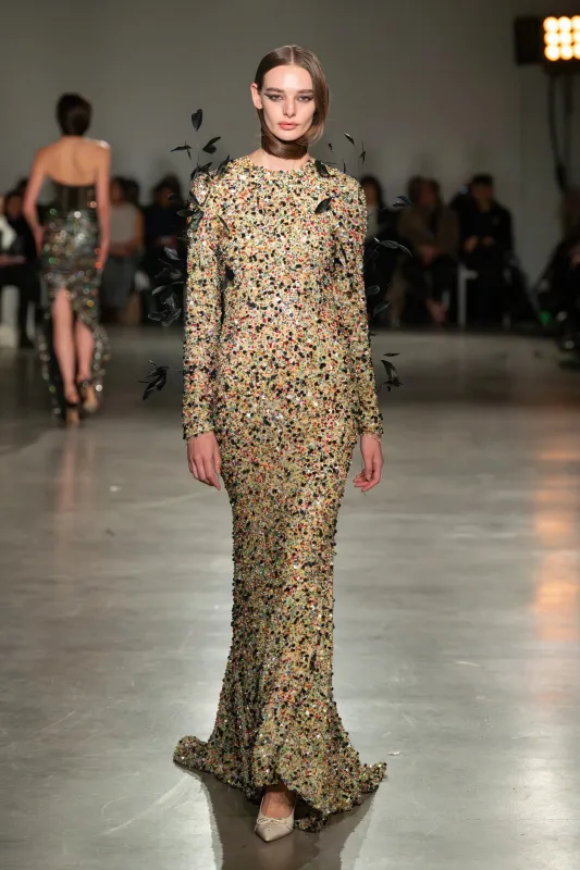 Long Sleeve Multicolor Beaded Gown with Feathers made by Christian Siriano
