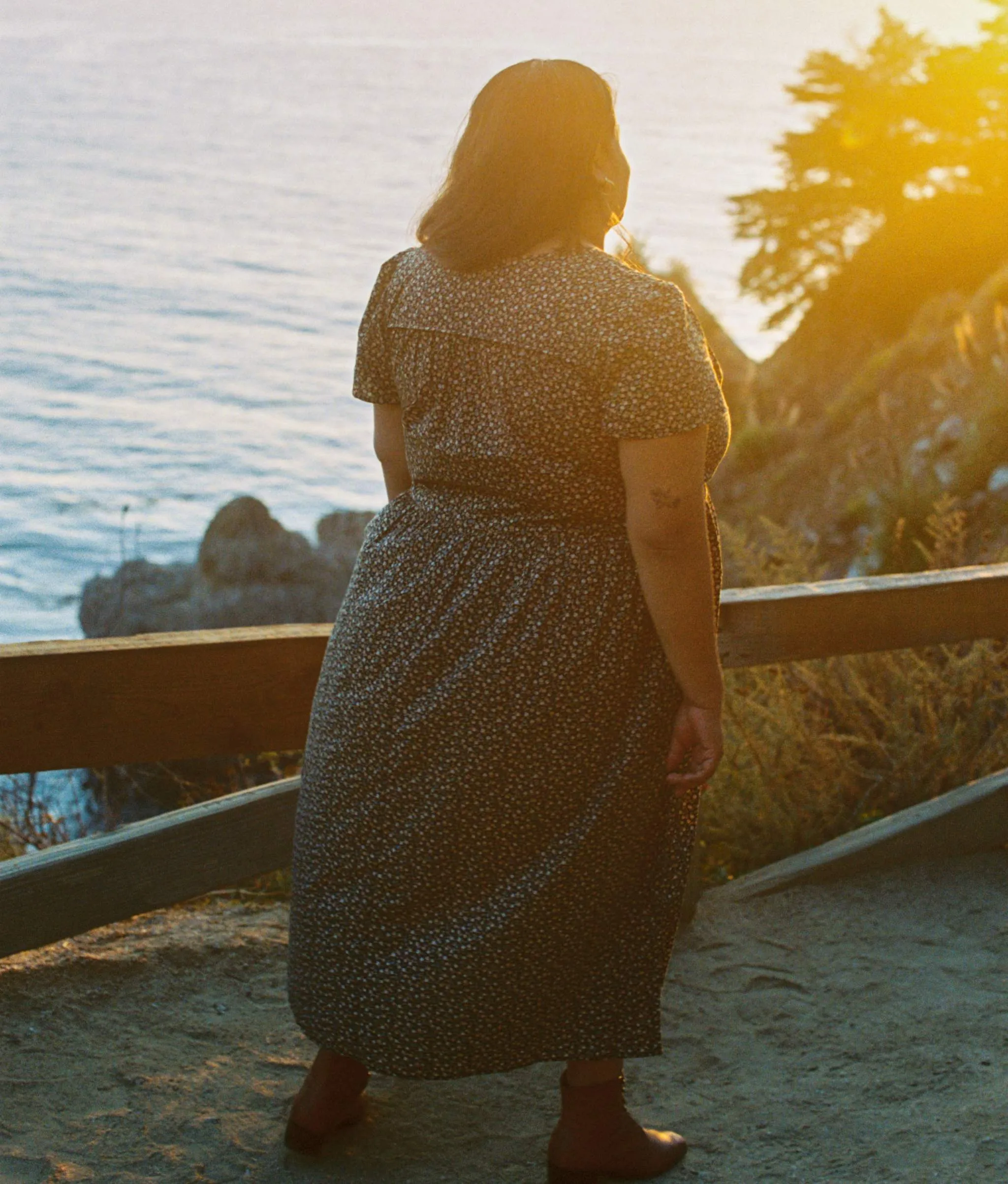 The Dawn Dress Extended | Noir Harvest sold by Christy Dawn product image thumbnail 3