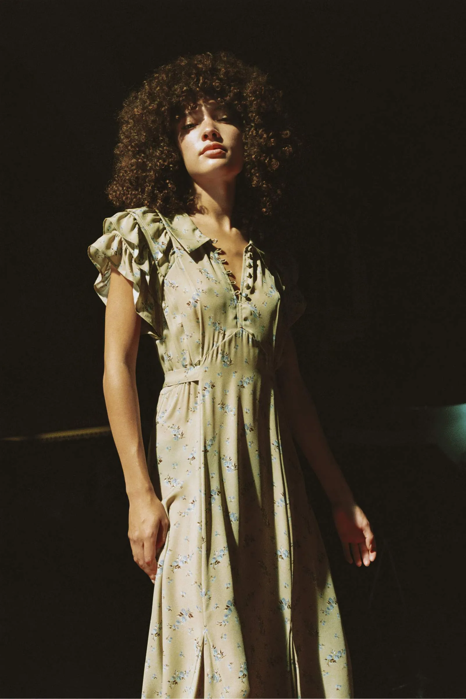 The Vaughn Dress | Mums Ditsy Fern sold by Christy Dawn product image thumbnail 4