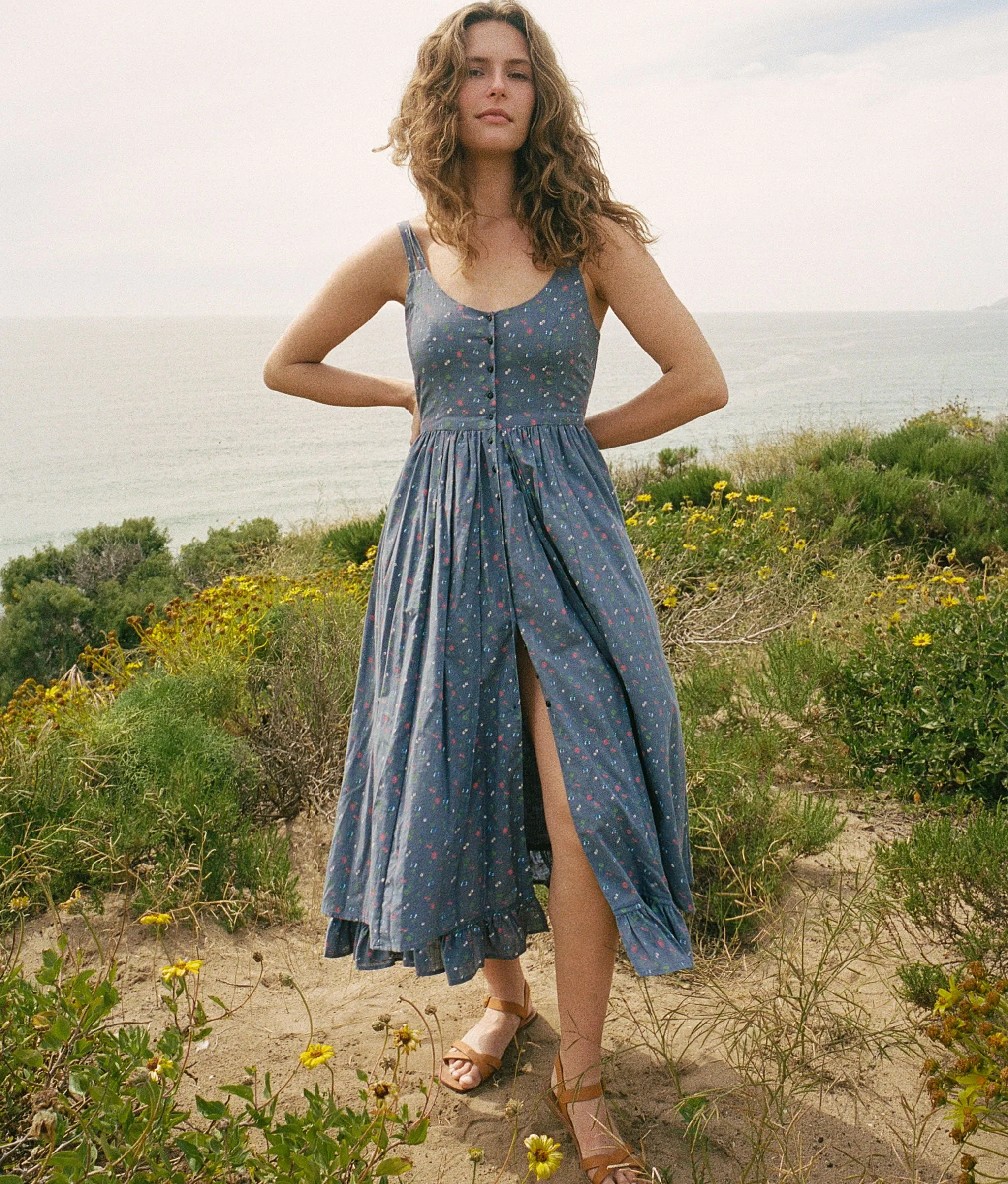 The Nicks Dress | Lapis Aster Garden sold by Christy Dawn product image thumbnail 4