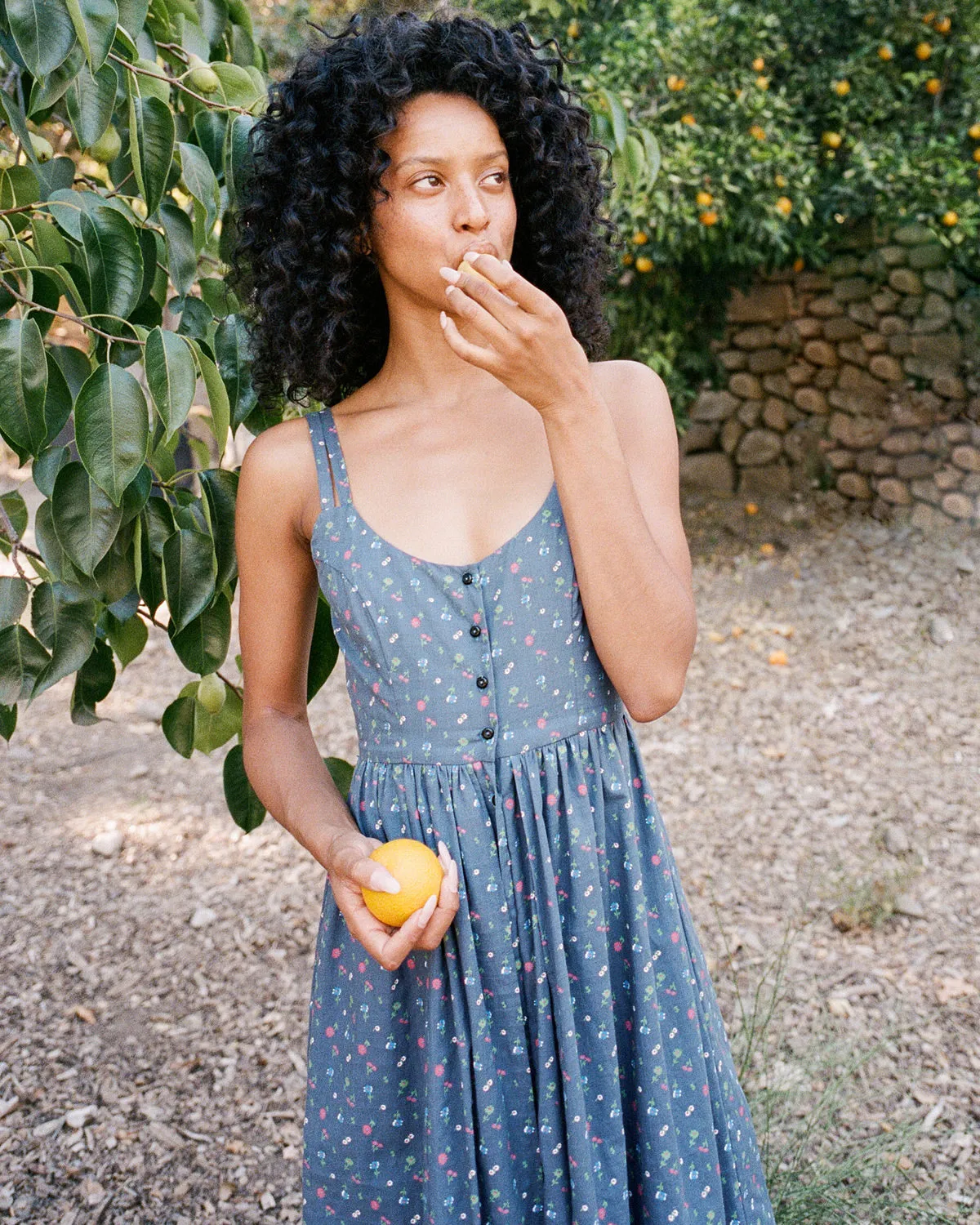 The Nicks Dress | Lapis Aster Garden sold by Christy Dawn