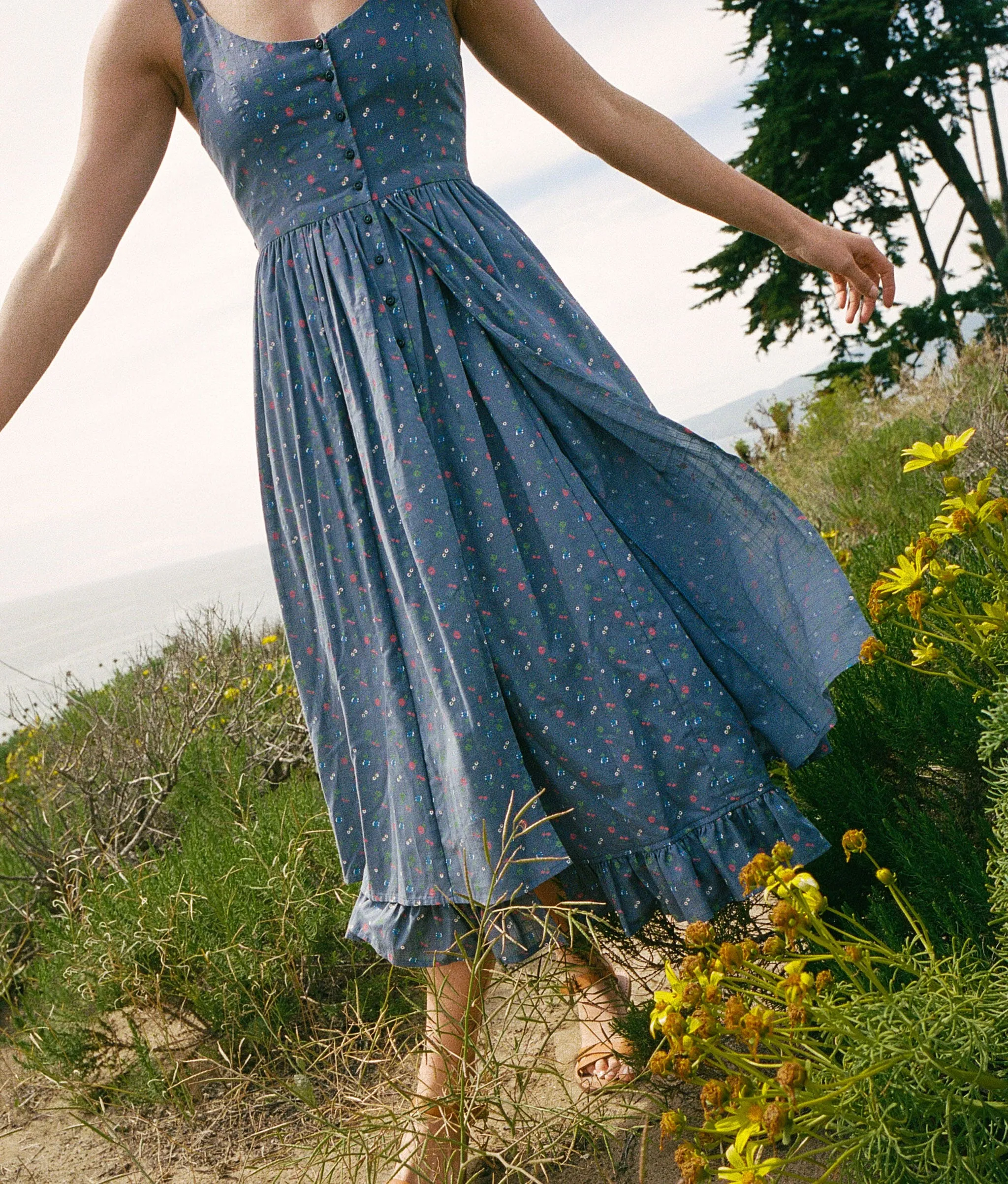 The Nicks Dress | Lapis Aster Garden sold by Christy Dawn product image thumbnail 5