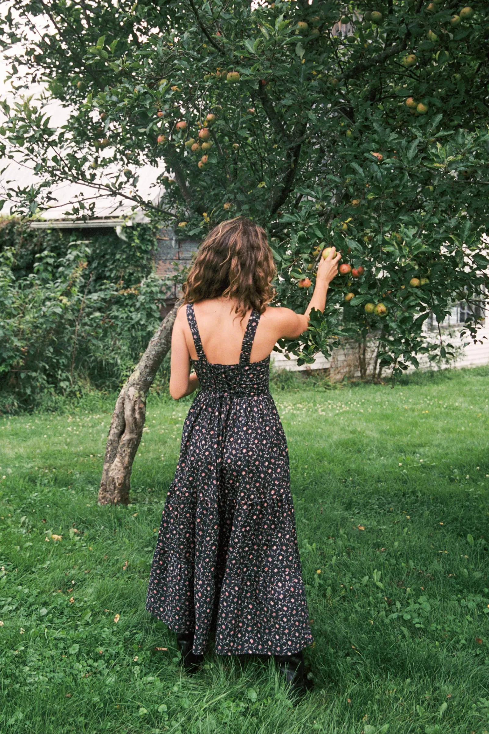 The Adele Dress | Night Trellis sold by Christy Dawn product image thumbnail 3