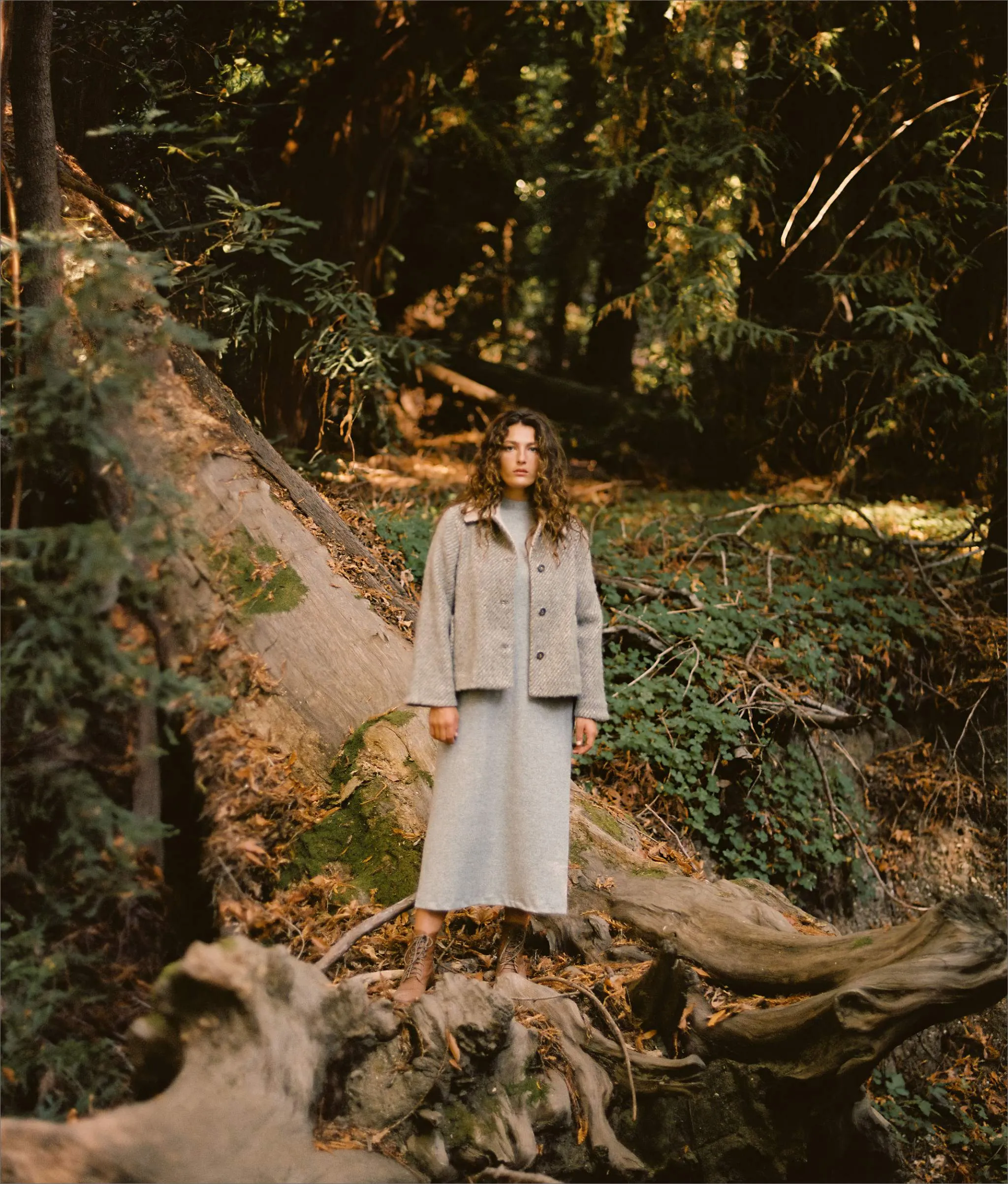 The Annika Jacket | Mist Stripe sold by Christy Dawn product image thumbnail 3