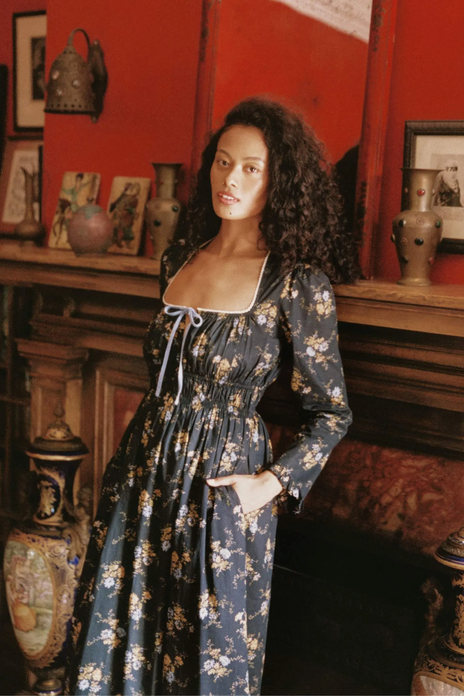 The Manuela Dress | Night Chrysanthemum sold by Christy Dawn product image thumbnail 5