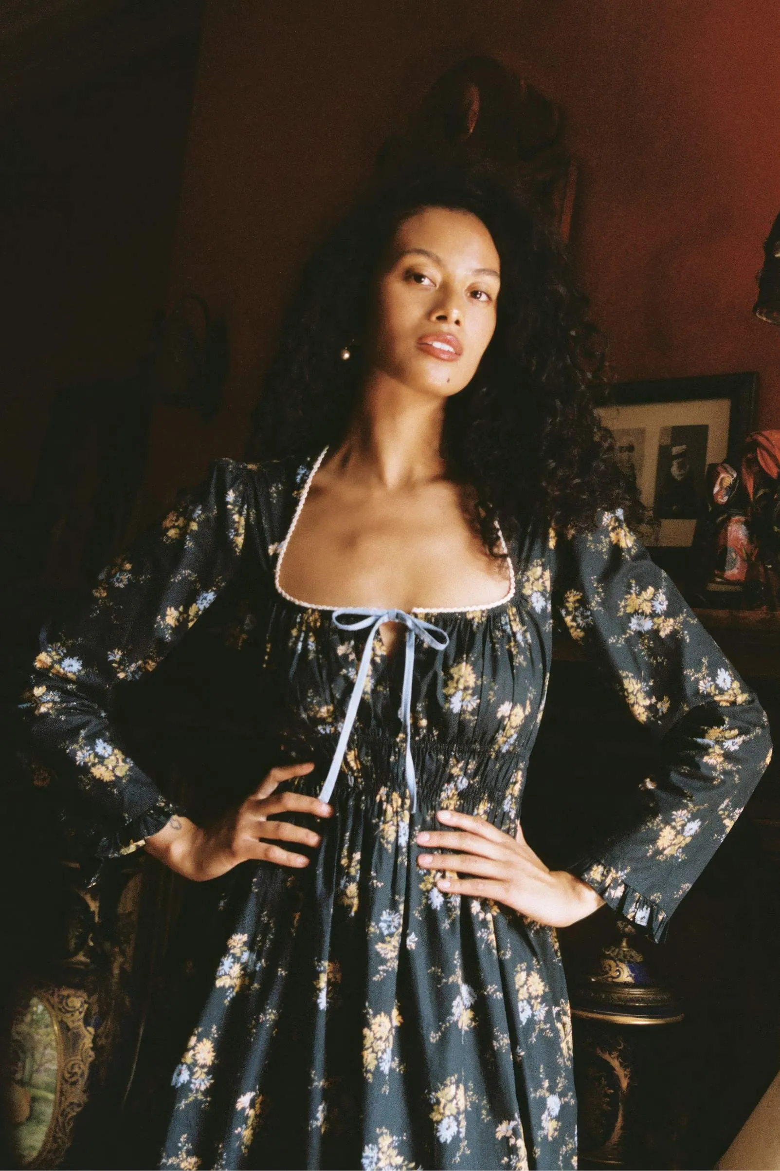 The Manuela Dress | Night Chrysanthemum sold by Christy Dawn