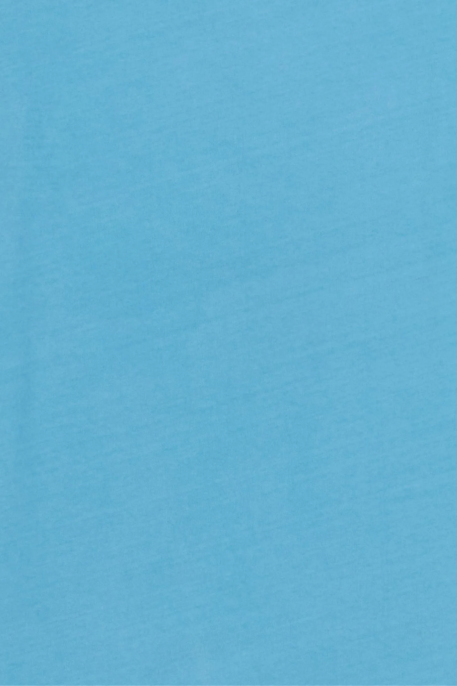 Regenerative Long Sleeve Tee | Ocean sold by Christy Dawn product image thumbnail 3